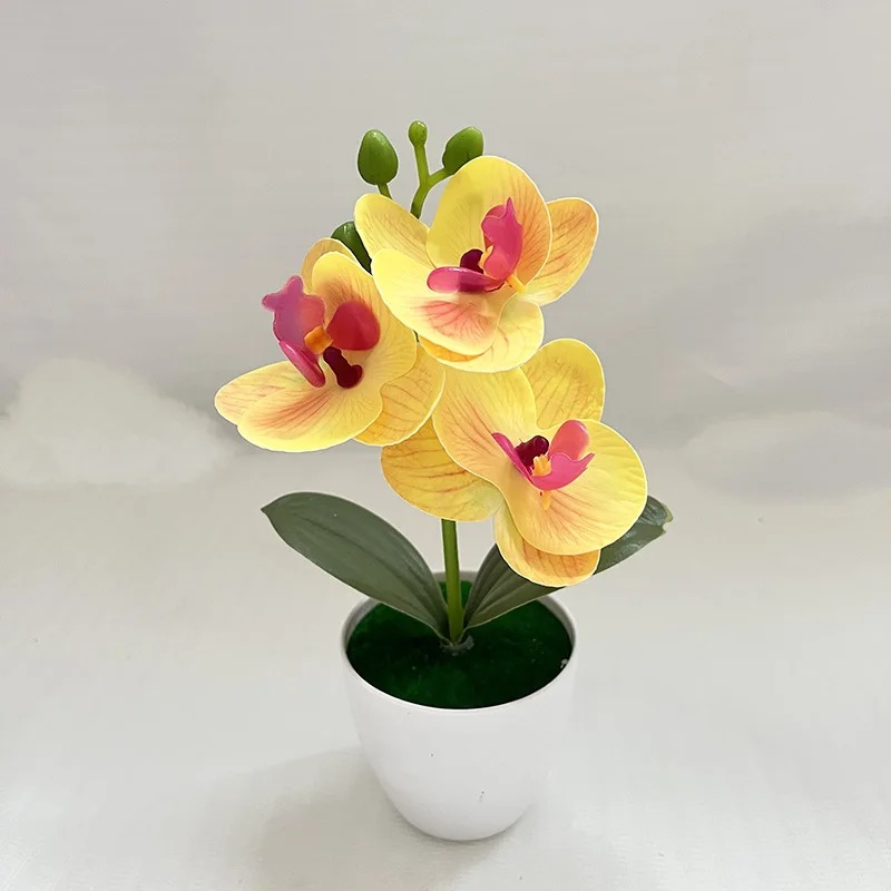 1Pcs 20CM Simulation Plants Po - Outdoor Furniture Rh 리뷰 및 가격